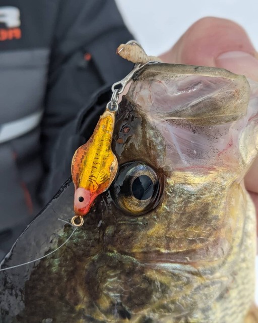 Lindy Lures Website Premium Fishing Lures for Every Angler